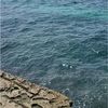 june_b1276